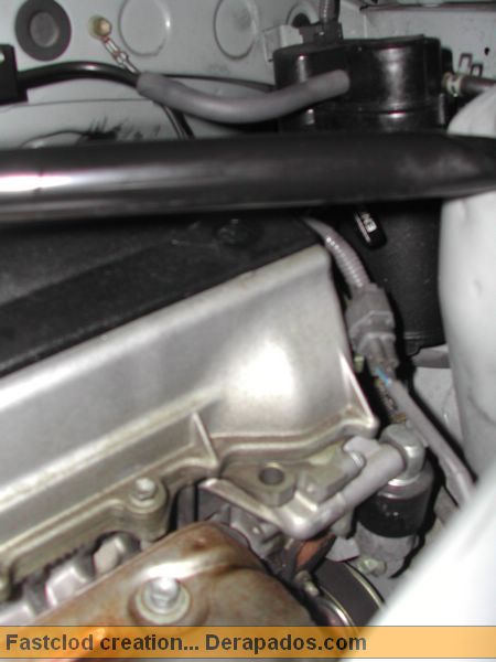 DSCN7702.JPG