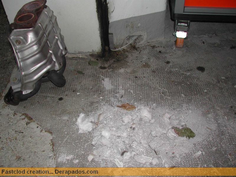 DSCN7726.JPG