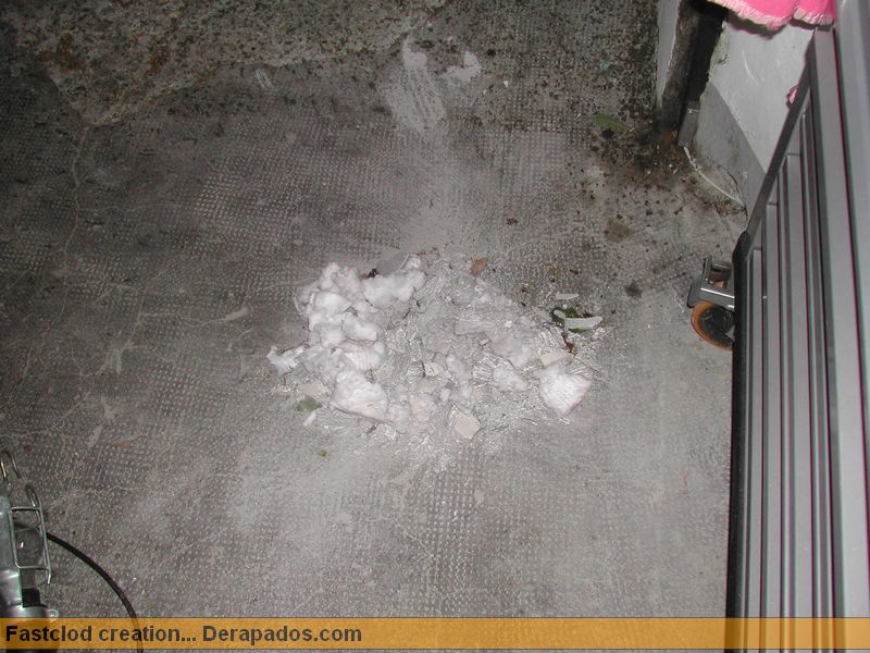 DSCN7733.JPG