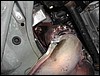 DSCN7713.JPG