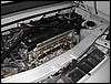 DSCN7718.JPG