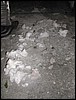 DSCN7729.JPG