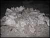 DSCN7735.JPG
