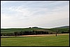 IMG_8816.JPG