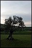 IMG_8823.JPG