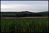 IMG_8827.JPG