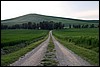 IMG_8835.JPG