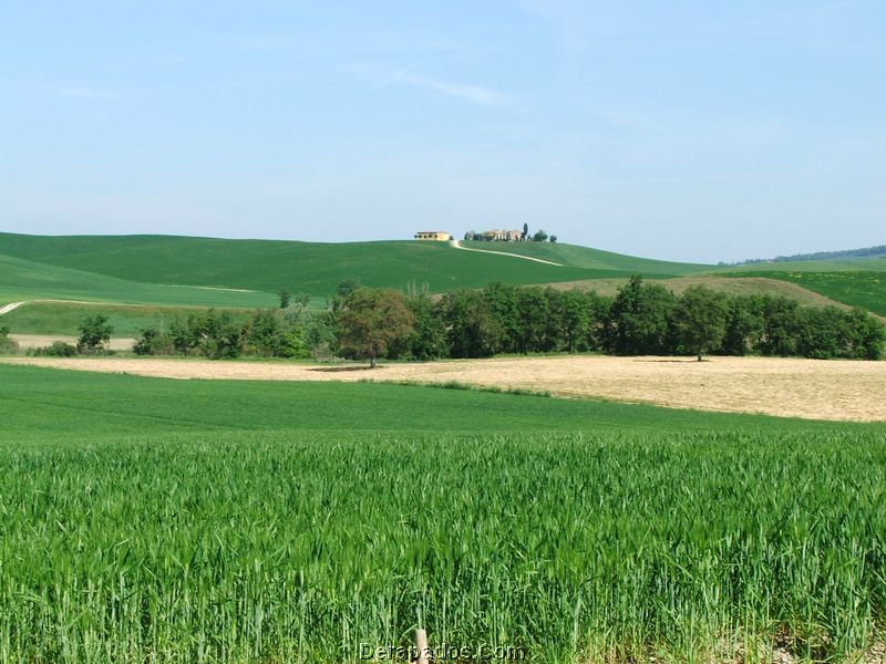 DSCF0854.JPG