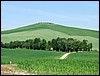 DSCF0853.JPG