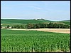 DSCF0854.JPG