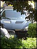 PICT2008.JPG