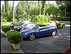 PICT2010.JPG