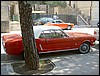 PICT2027.JPG