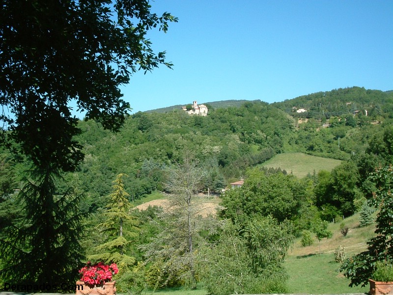c1.JPG