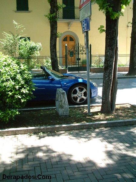 d6.JPG
