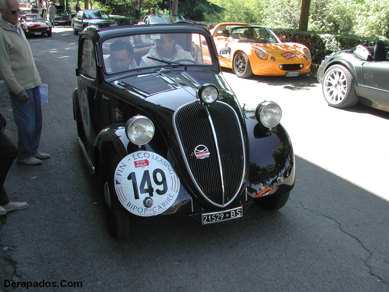 p3.JPG