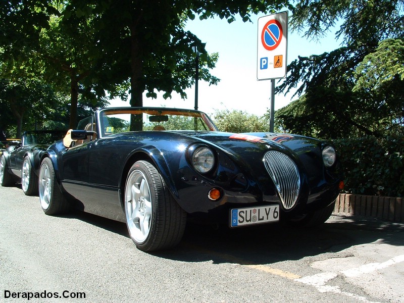 p8.JPG