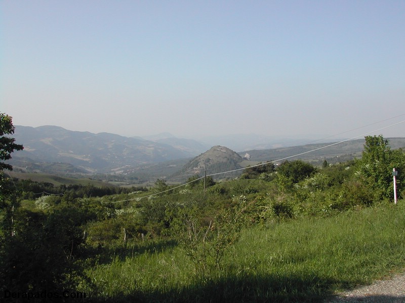 z9.JPG