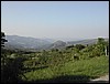 z9.JPG