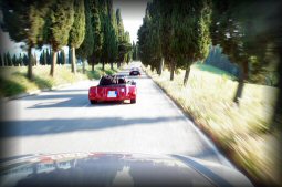 tutte ma proprio tutte le foto della mille miglia!